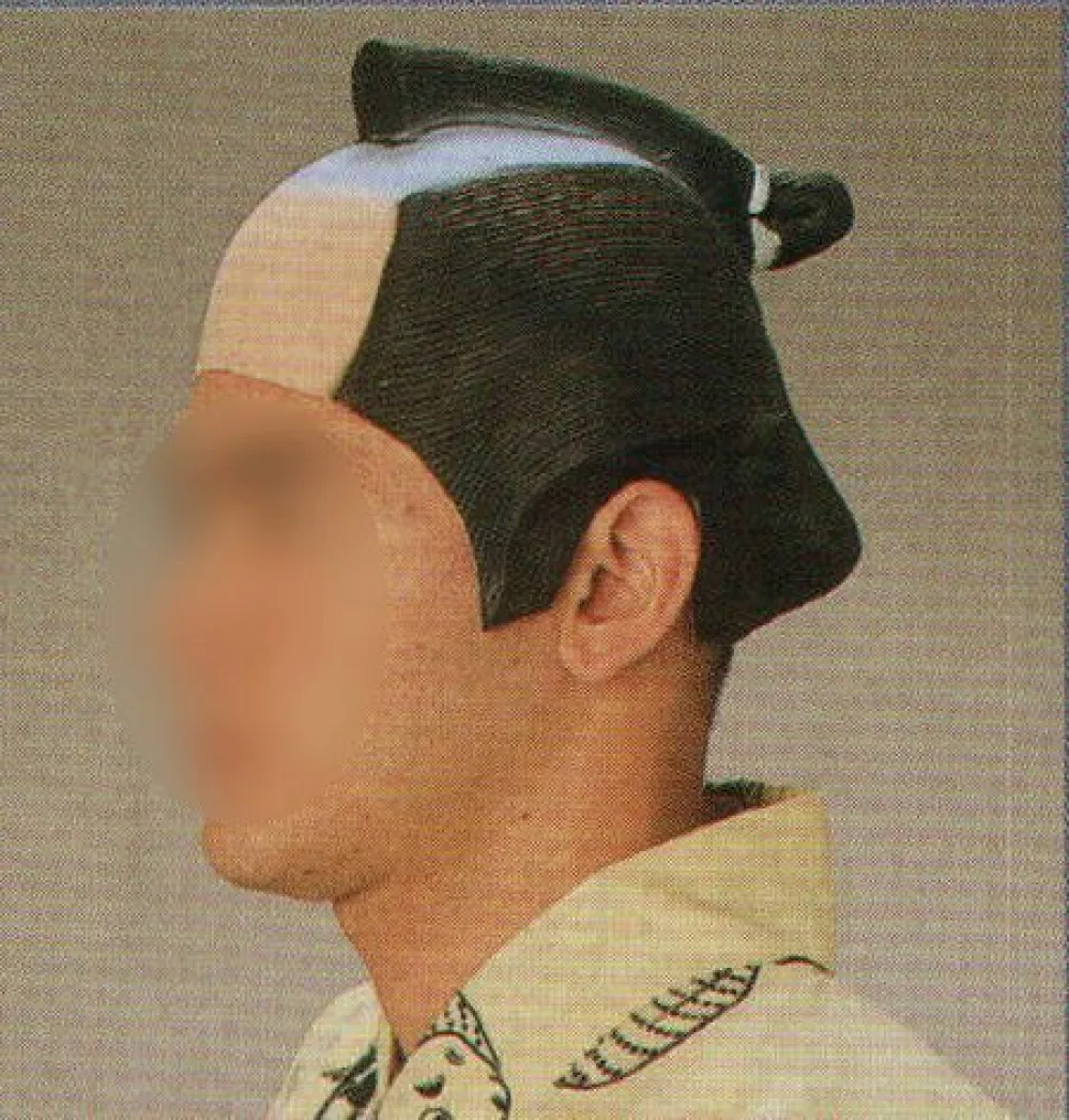 祭り用品jp 変装用かつら（町人） 日本の歳時記 8038 祭り用品の専門店