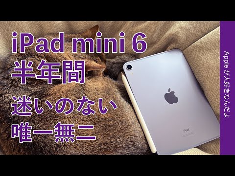 iPad mini 2021 (第6世代) 訳あり・ジャンク 26,000円 | ネット最安値