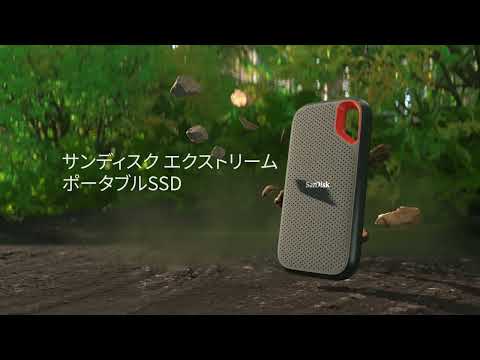 SDSSDE61-1T00-J25 外付けSSD USB-C＋USB-A接続 Extreme Portable SSD