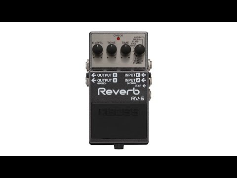 Boss RV-6 Digital Reverb Pedal | Sweetwater