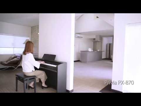 電子ピアノ PX-870BK ブラックウッド調 [88鍵盤] CASIO｜カシオ 通販