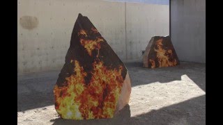 Peter Sutherland: Forests and Fires - Contemporary Art Museum St