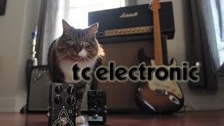 TC ELECTRONIC/T2 Reverb/リバーブ 送料無料 | サウンドハウス