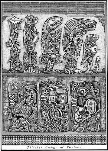 キクチヒロノリ Hironori KIKUCHI 「ALCHEMICAL GRAPHICS」 - タコシェ