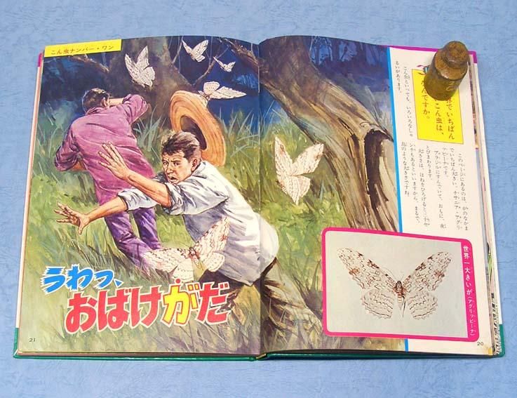 なぜなにびっくり世界一〈なぜなに学習図鑑シリーズ 7〉SOLD OUT