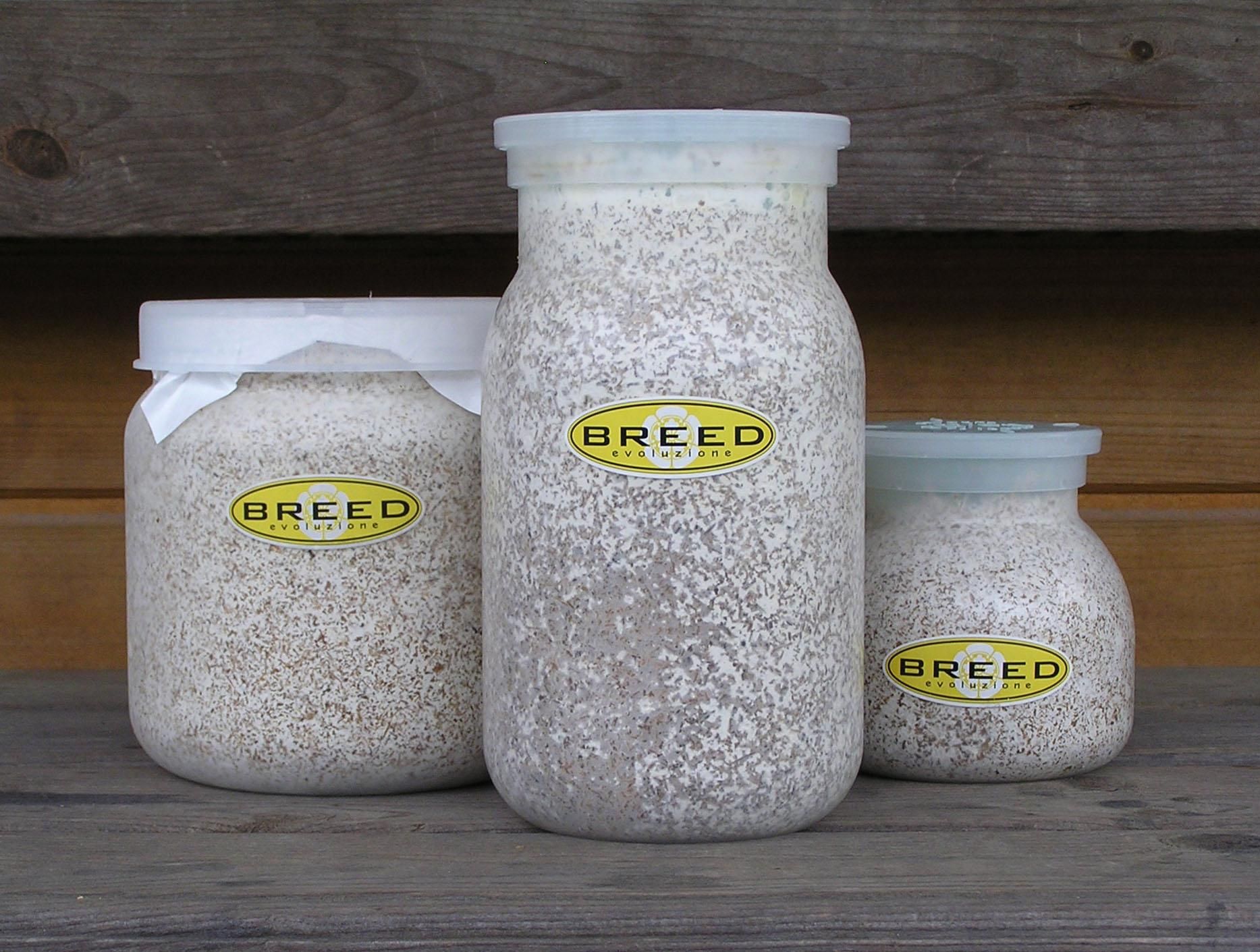 菌糸ビンのBREED（ブリード）菌糸瓶 販売