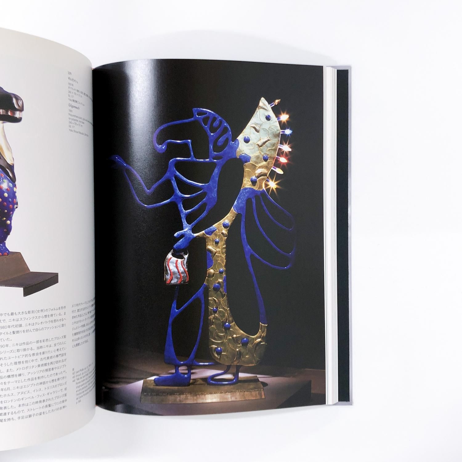 図録 | ニキ | ド | サンファル展 - ノースブックセンター