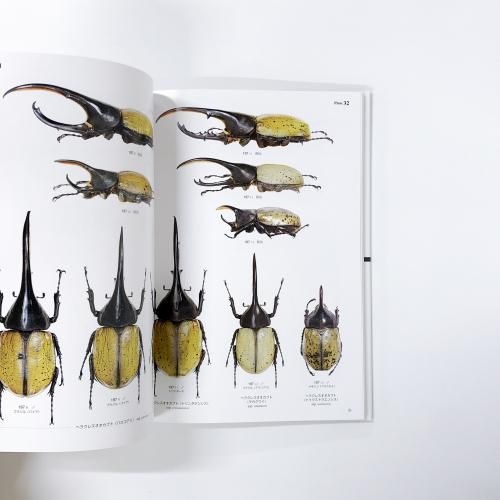 月刊むし・昆虫図説シリーズ6 世界のカブトムシ 【上】南北アメリカ編
