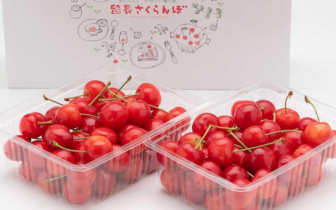 2025年 佐藤錦 フレッシュパック | 900g - 青森りんご三戸南部の留長