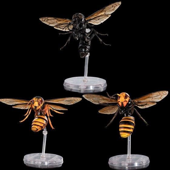 いきもの大図鑑アドバンス スズメバチ02 メガララ・ガルーダ