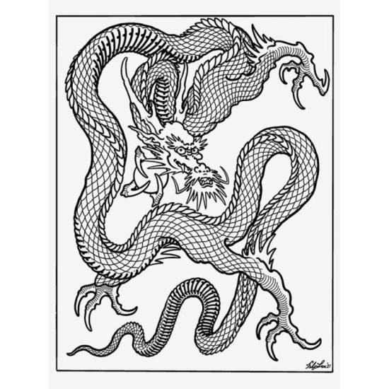 Dragons The Collection by Filip Leu ドラゴン タトゥー デザイン本