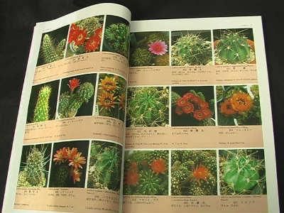 原色サボテン事典 - (株) 奈良多肉植物研究会 -多肉植物・サボテン