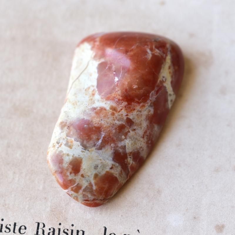 コプロライト 恐竜糞化石 アメリカ・ユタ州産 11g/ 化石・フォッシル