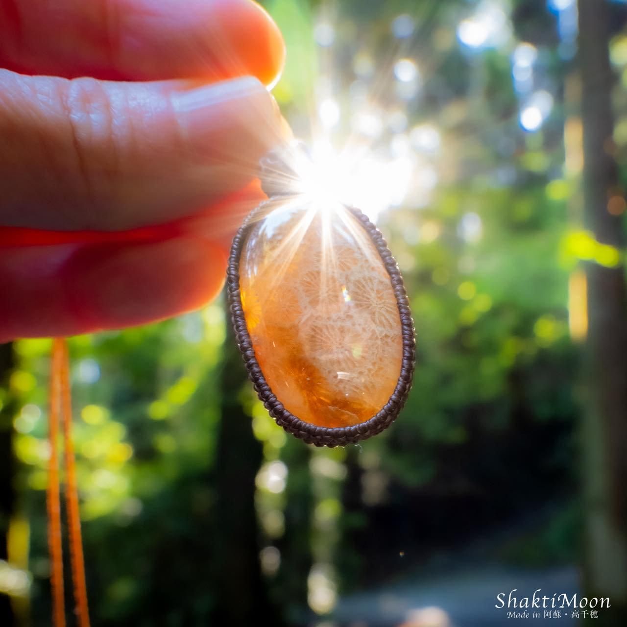 新たな未来を歩みたいあなたへ！フォッシルコーラル（化石珊瑚）と