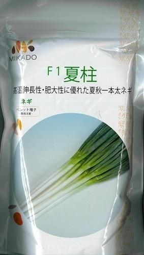 夏柱 - オガワのタネ オンラインショップ