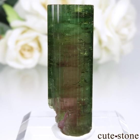 ブラジル Coronel Murta産 ウォーターメロントルマリンの原石 No.1