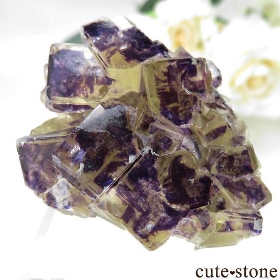 ナミビア Okorusu Mine Purple Bunny Pocket（D Pit）産 フローライト