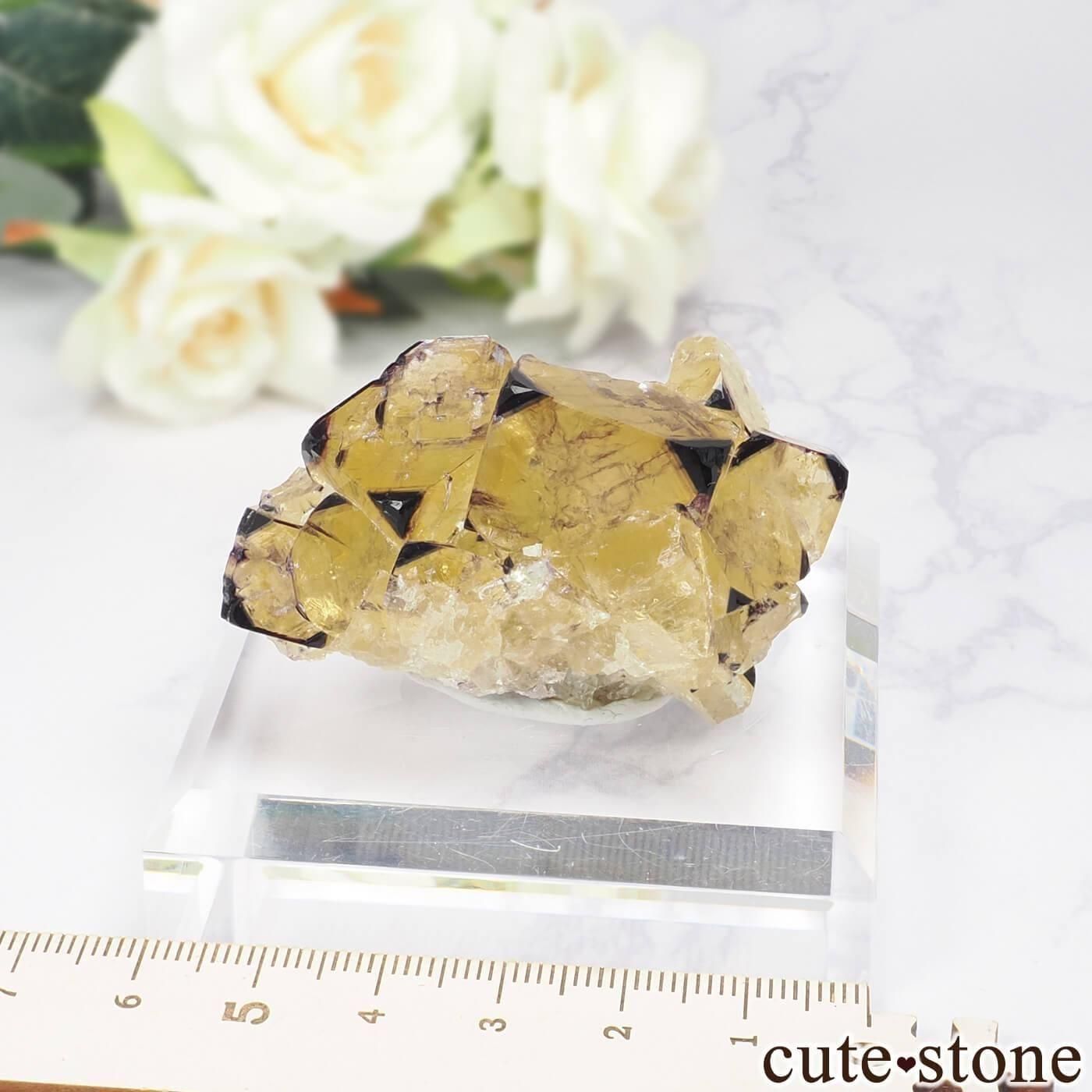 ナミビア Okorusu Mine｜D-Pit産 フローライトの原石 No.71 - cute stone -