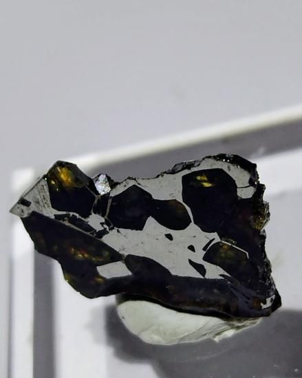 イミラック パラサイト隕石:サイバークリスタルズ☆鉱物標本