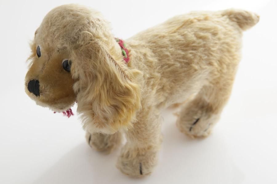 シュタイフ 犬（コッカースパニエル） - アンティークとテディベアの店
