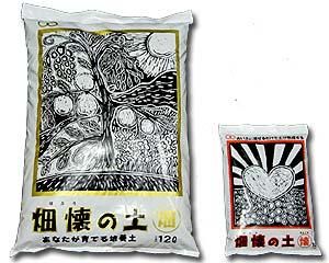 生体エネルギーペンダント・むろぢ シルバー - 能源 web shop