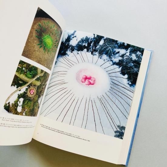 ニルス=ウド 自然へ｜NILS-UDO Towards Nature