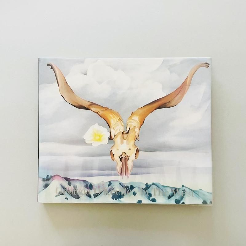 ia okeeff museum ジョージア・オキーフ画集 英語版 洋書THE IA O