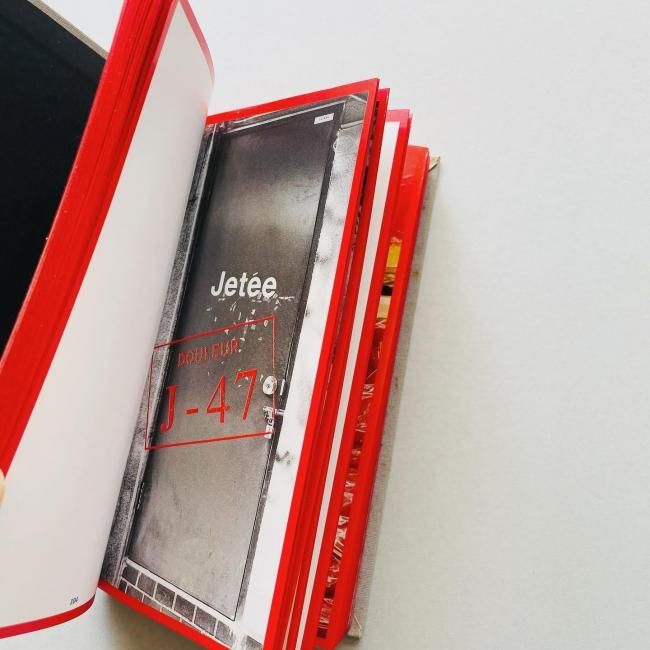 Sophie Calle Douleur exquise ソフィ・カル 限局性激痛