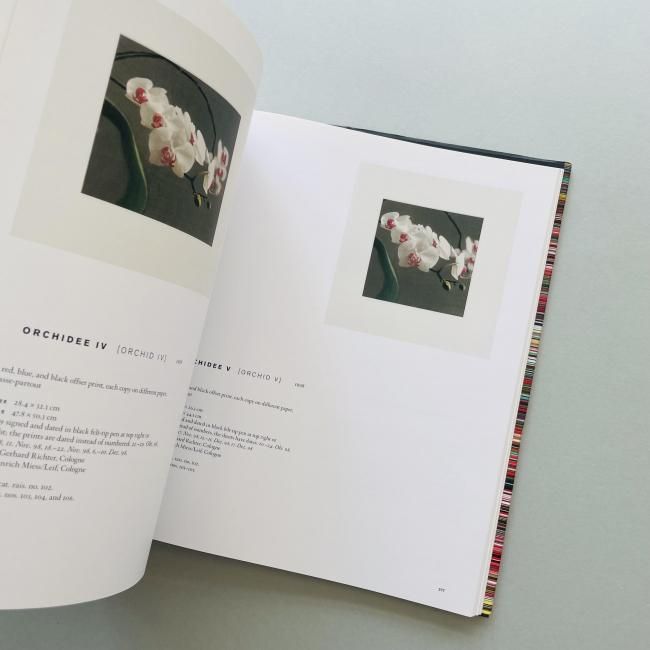 Gerhard Richter: Editions 1965-2013 カタログレゾネ | ゲルハルト