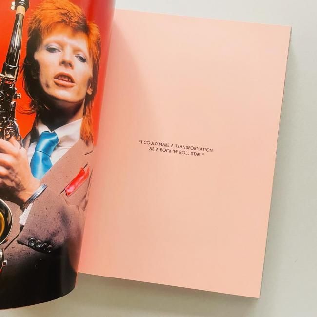 Limited edition〉The Rise of David Bowie 1972-1973 デヴィッド
