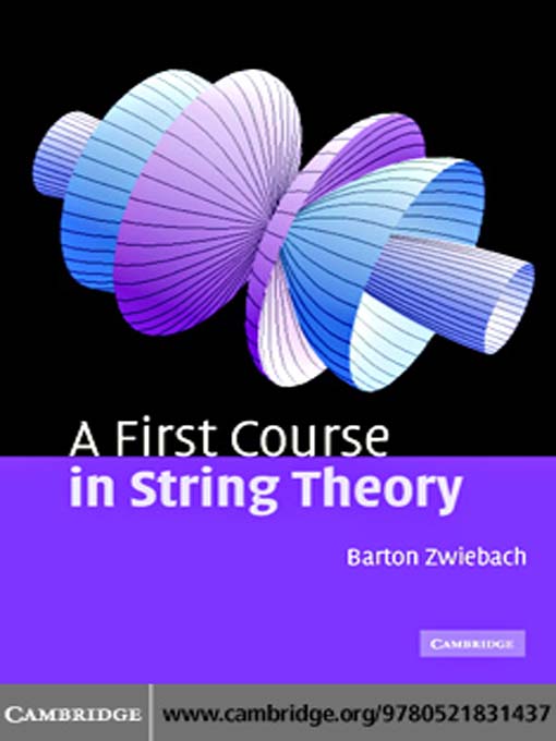 Chinese - A First Course in String Theory - New York Public