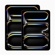 Apple iPad Pro 13インチ (M4) Wi-Fi 256GB 2024年春モデル 価格比較