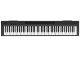 電子ピアノ 88鍵盤」の人気商品一覧 | 安い商品を通販サイトから探す