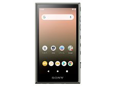 SONY NW-A105HN (G) [16GB アッシュグリーン] 価格比較 - 価格.com