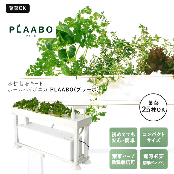 水耕栽培キット ホームハイポニカ PLAABO プラーボ - 水耕栽培専門店