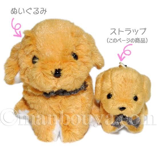 ぬいぐるみ 犬 たけのこ プチフォンテーヌ 携帯ストラップ ゴールデン