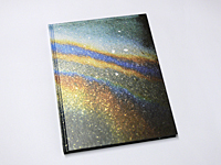 Theo Gosselin: Sans Limites - shelf