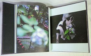 Gueorgui Pinkhassov: Sightwalk ゲオルギィ・ピンカソフ - 古本買取