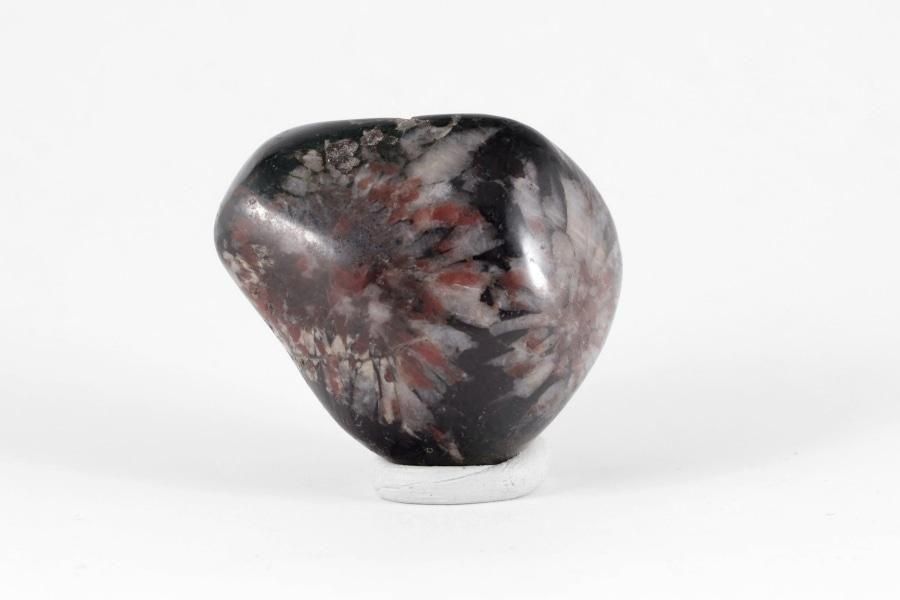 根尾谷産 菊花石 40.4g｜国産 原石 通販 キラリ石