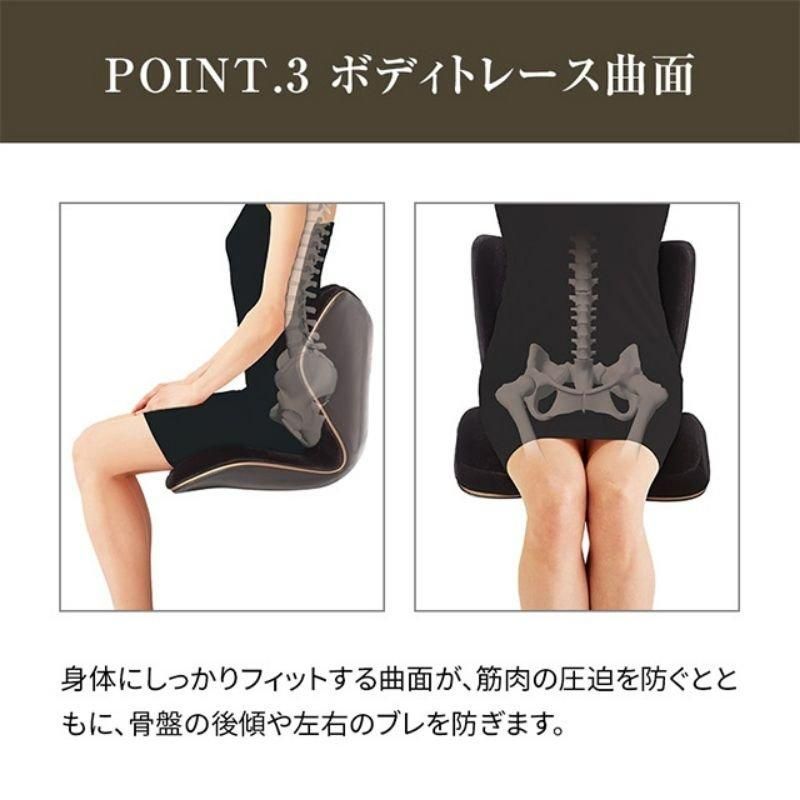 6/3頃発送】スタイルプレミアム デラックス Style PREMIUM DX Style