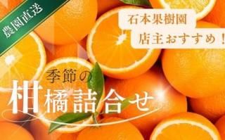 せとか（セトカ） - 三代続く石本果樹園みかん直売所