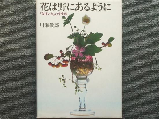 花は野にあるように 「なげいれ」のすすめ 川瀬敏郎 - 月吠文庫(げっ
