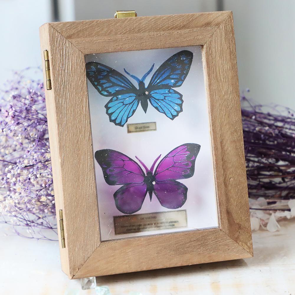 蝶標本箱オブジェ（星空コレクション・2匹入り）-1 - 海福雑貨通販部