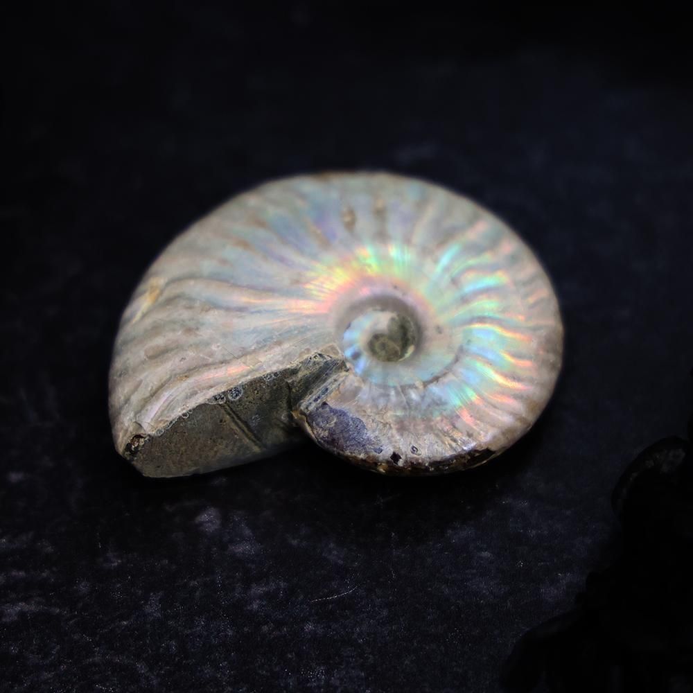 75928150_o2.jpg?cmsp_timestamp