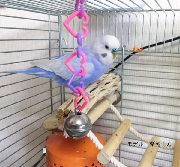 ナチュラルパーチ○カクタスパーチS - とりまに☆鳥さん用品専門店