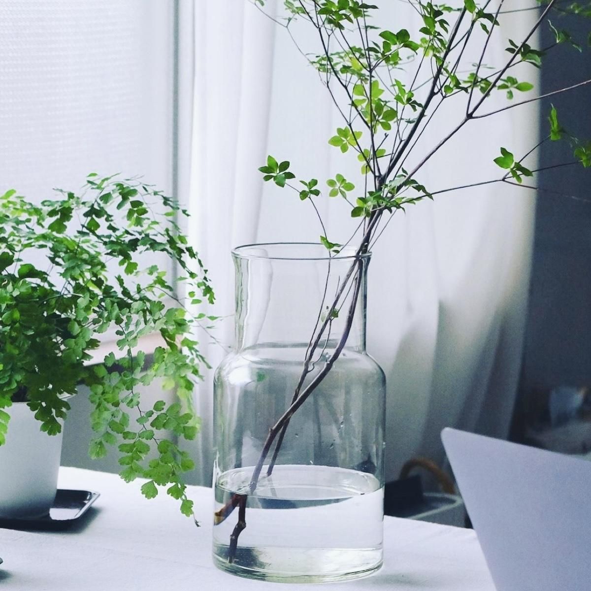 リューズガラス フラワーベース | 高さ26cm - Anchor Bridge アンカー