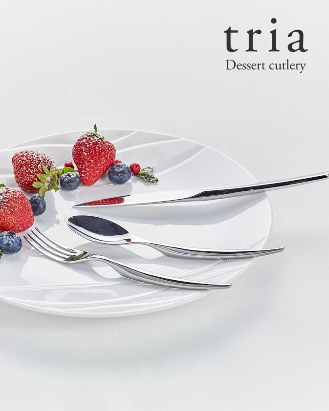 triaトライア デザートカトラリー 4点セット - 龍泉刃物 公式