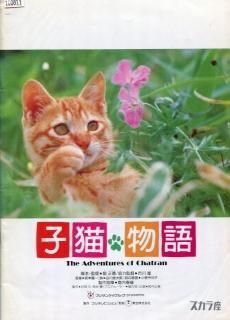 子猫物語 映画パンフレット 畑 正憲