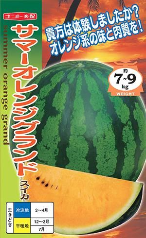 サマーオレンジグランド - 家庭de菜園～うぇぶたねやさん～