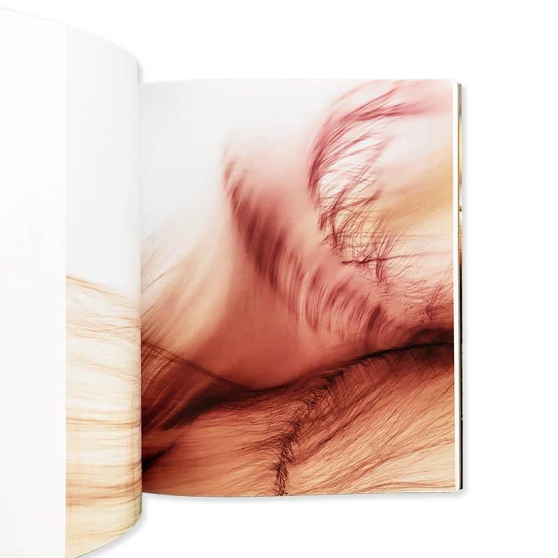 Wolfgang Tillmans PHAIDON Contemporary Artistsヴォルフガング